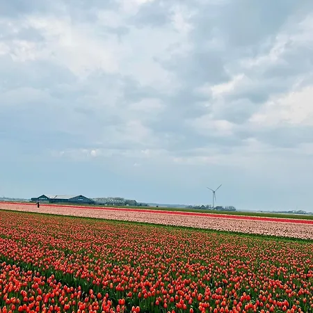Charmantes Am Meer In Nordholland Apartment Petten
