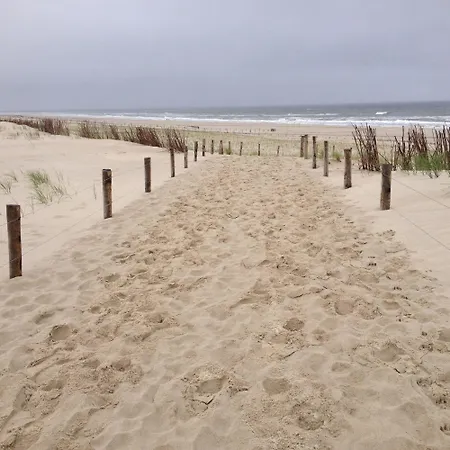 Charmantes Am Meer In Nordholland